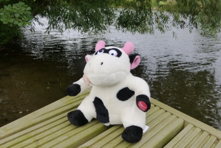 Bell boating team activity Stratford upon Avon Event Cow
